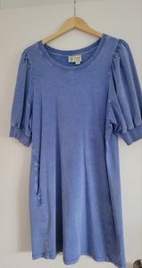 Saturday Sunday Anthropologie Blue Cotton Puff Sleeve Dress